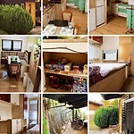 La House Camp Terme 3000 2 Thermal Tickets Included Free Bikes