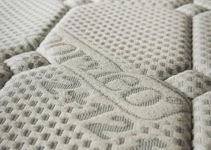 La Vita House Camp Terme 3000 Moravske Toplice 2 Thermal Tickets Included Free Bikes Casa vacanze